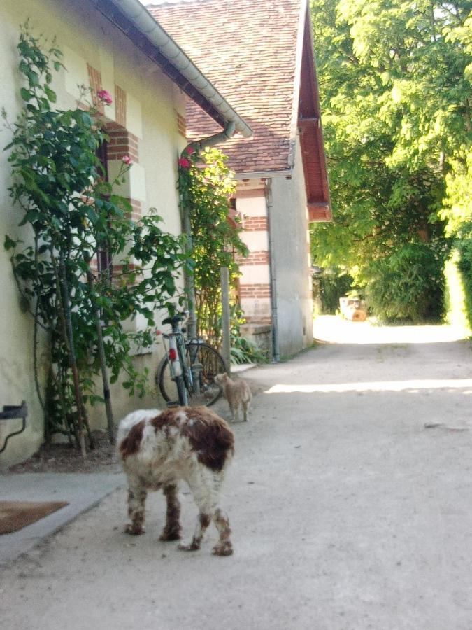 Cottages Et B&B De Troussay Cheverny Kültér fotó